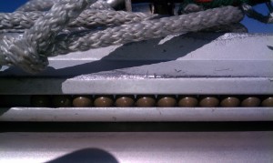 IMAG0202